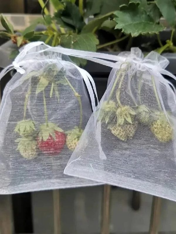 Small Fruit Saver Bag 50Pcs