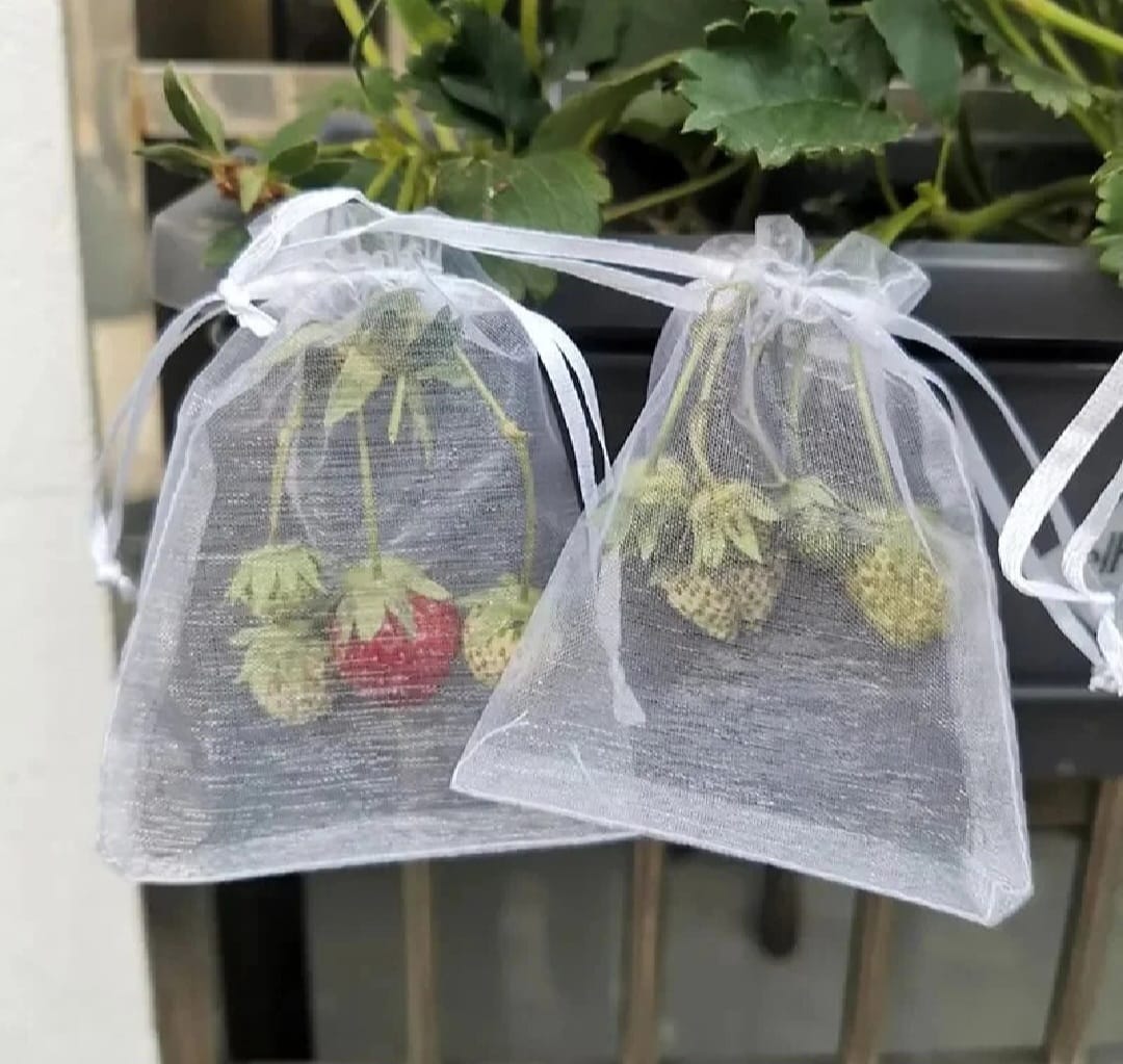 Small Fruit Saver Bag 50Pcs