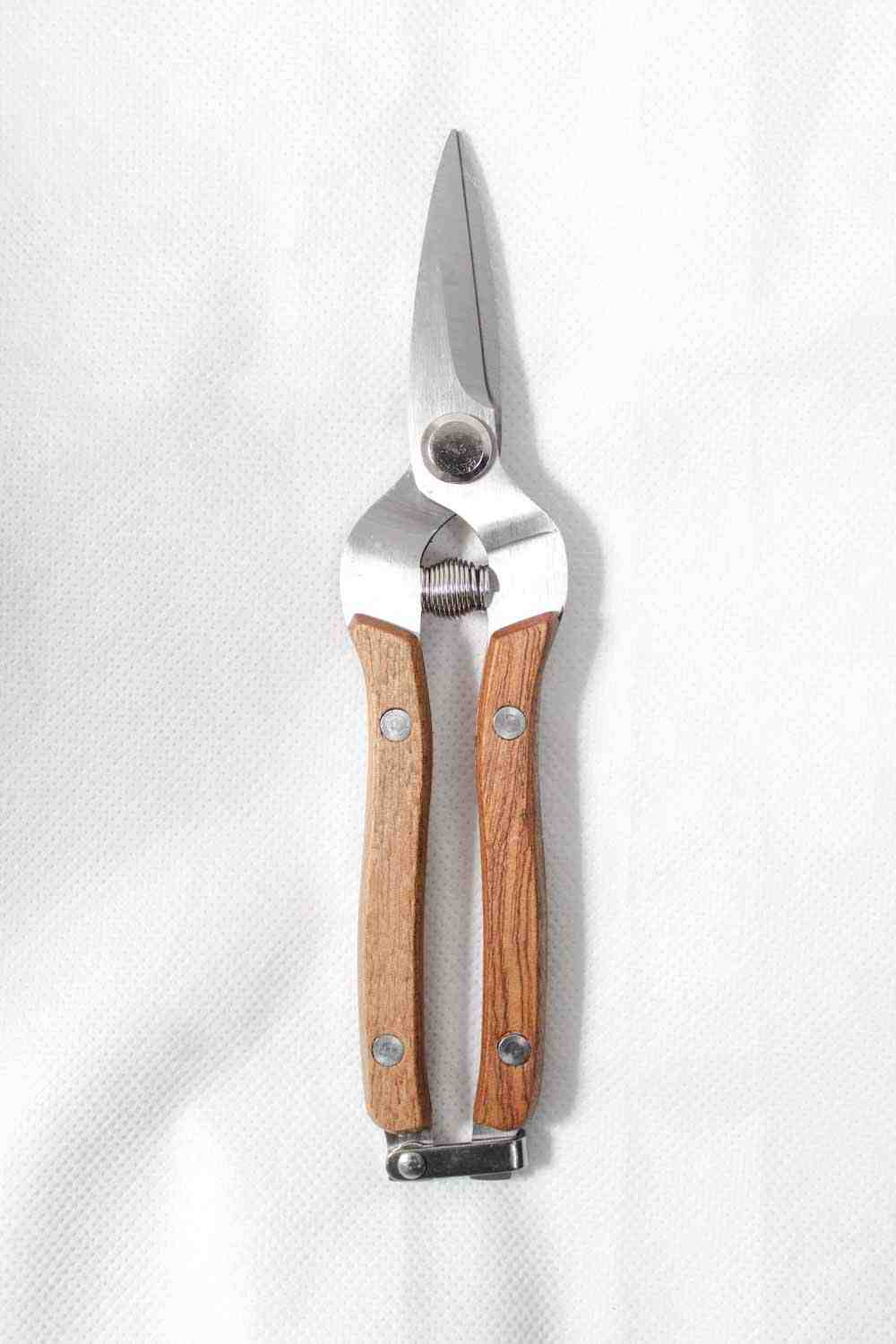 Pruning Scissor Wooden And SK5