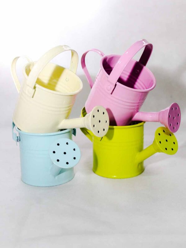 Watering Can Mug Size Each Imported