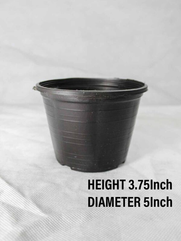 Plastic Pot Height 3.75Inch Diameter 5Inch