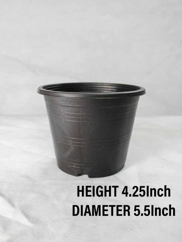Plastic Pot Height 4.25Inch Diameter 5.5Inch