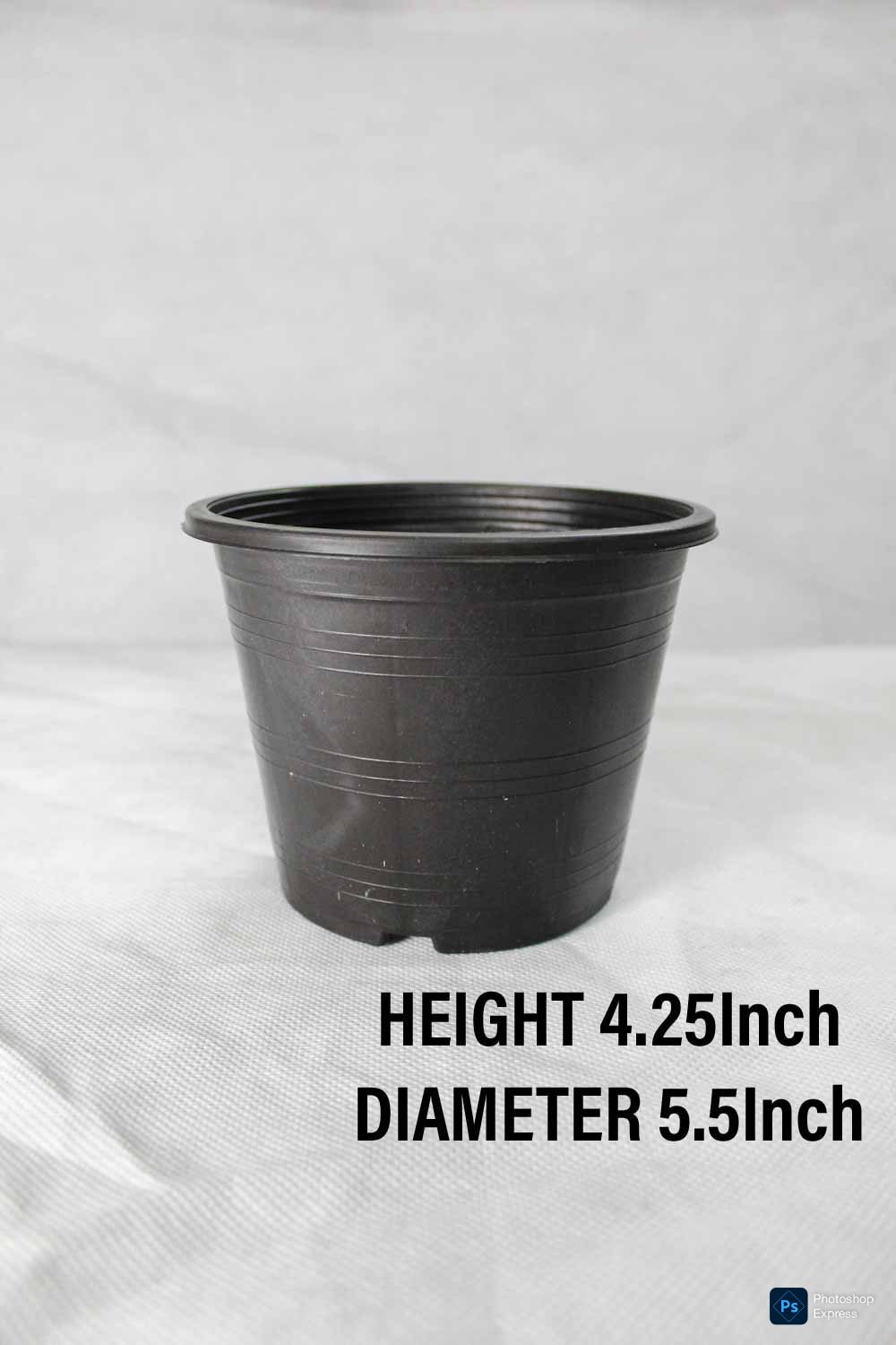 Plastic Pot Height 4.25Inch Diameter 5.5Inch